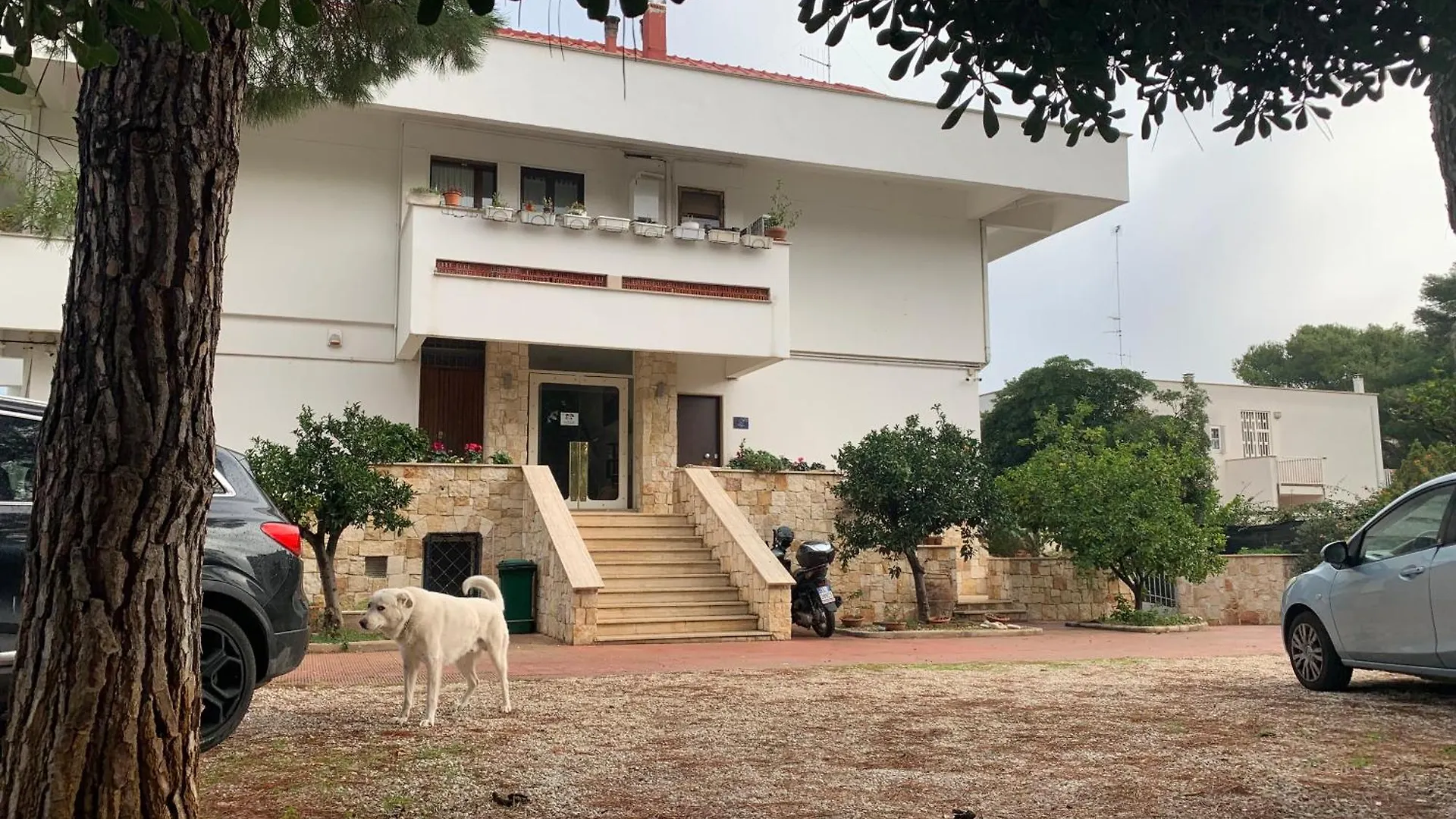 Bed & Breakfast La Casa Di Emanuella - Rooms & International Suites Bari